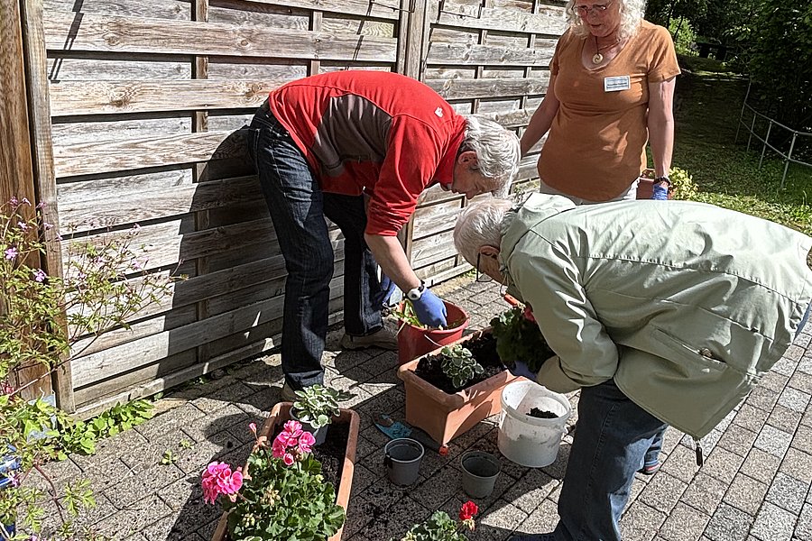 Drei Personen beim Pflanzen von Blumen in Töpfen vor einer Holzsichtschutzwand.
